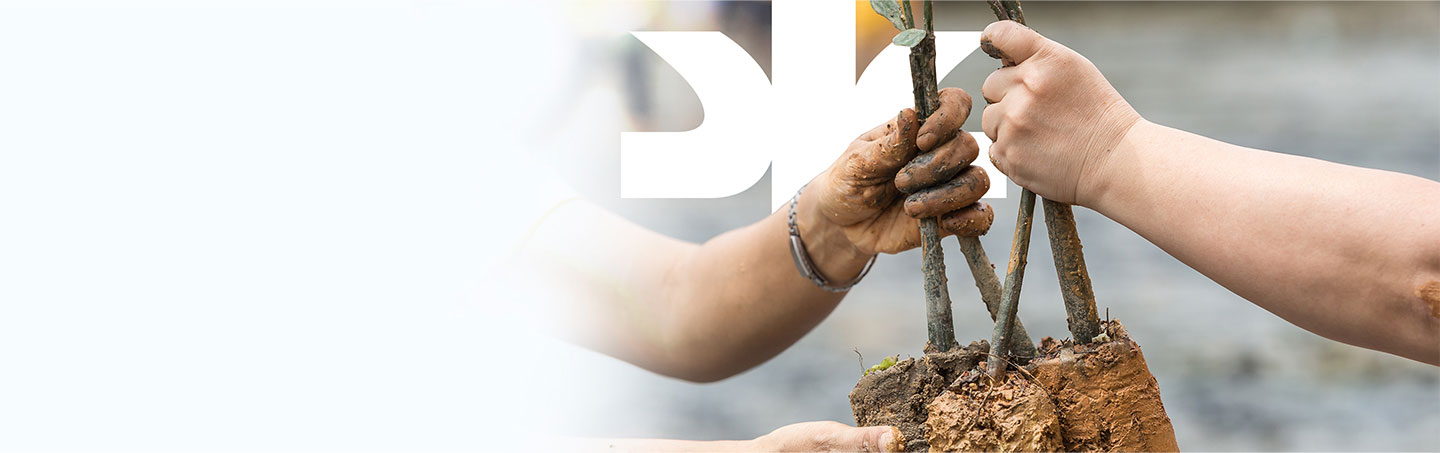 Home Banner Kimberly Clark Employees Bettering the Environment