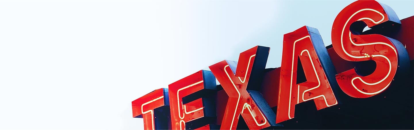 Light Up Neon Texas Sign